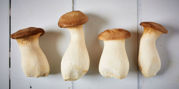 KING OYSTER MUSHROOM