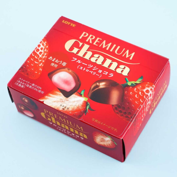 Lotte Premium Ghana Truffle Fruit Chocolate