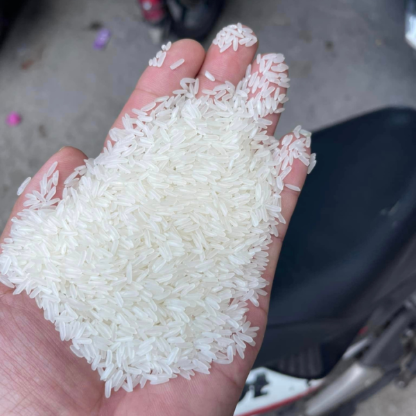 MR CUA-RICE ST25 (20kg)