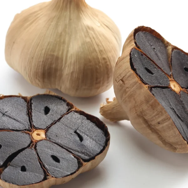 NaiLong Dry Eating Youtiao (Black Garlic Flavour)