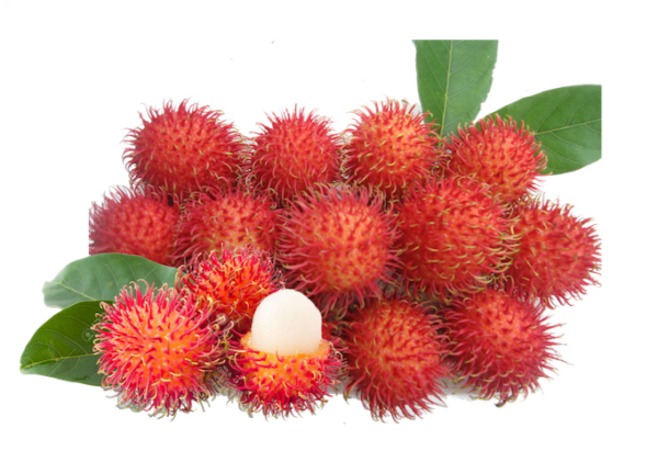 PREMIUM RAMBUTAN_$34.99/KG