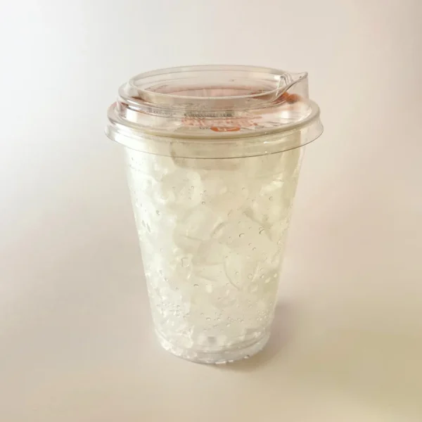 WOOSHIN Cup Ice Cube