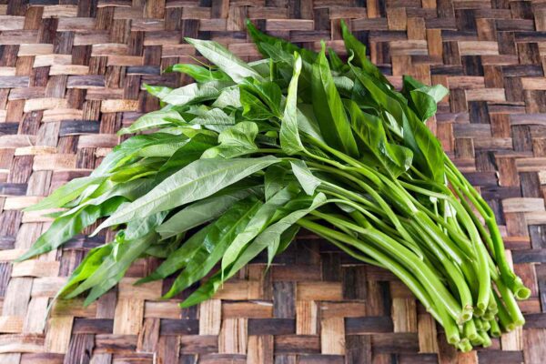 Water Spinach